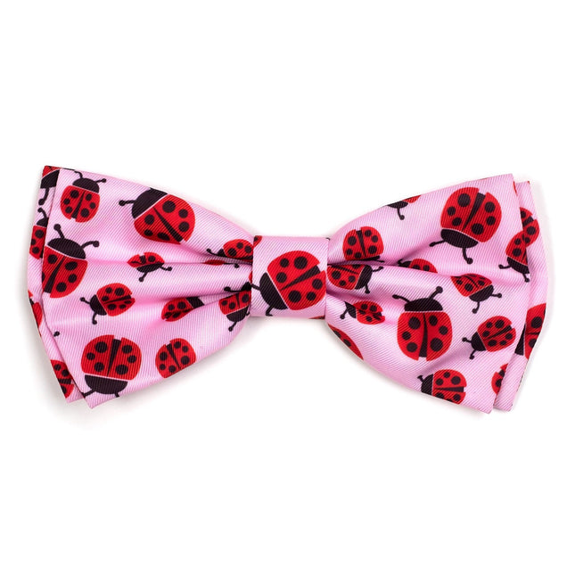 Ladybug Collar & Lead Collection