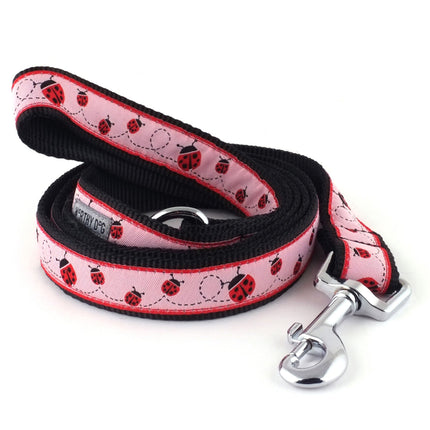 Ladybug Collar & Lead Collection