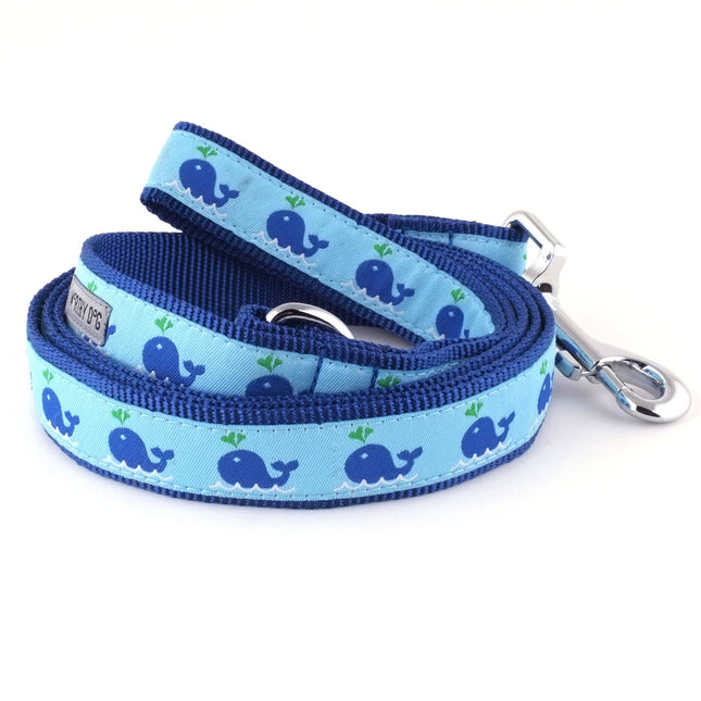 Squirt Collar & Lead Collection