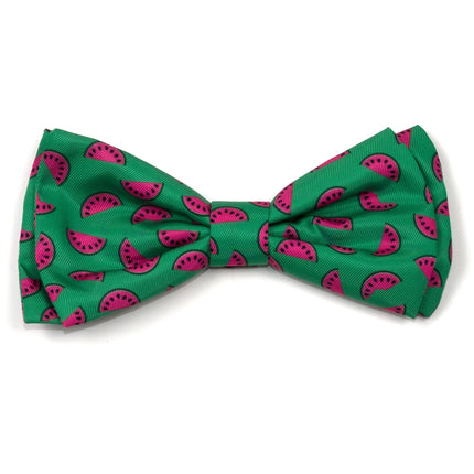 Watermelon Collar & Lead Collection