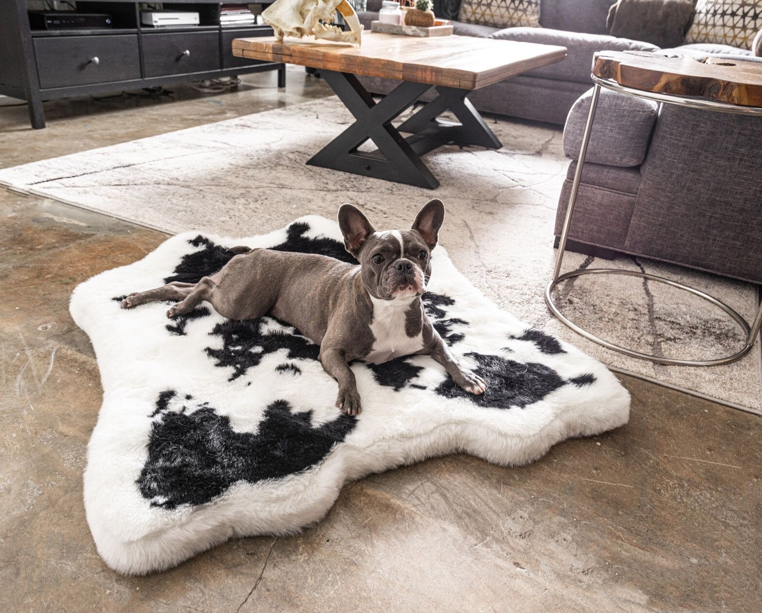 PupRugAnimal Print Memory Foam Dog Bed - Black Faux Cowhide Junior (40