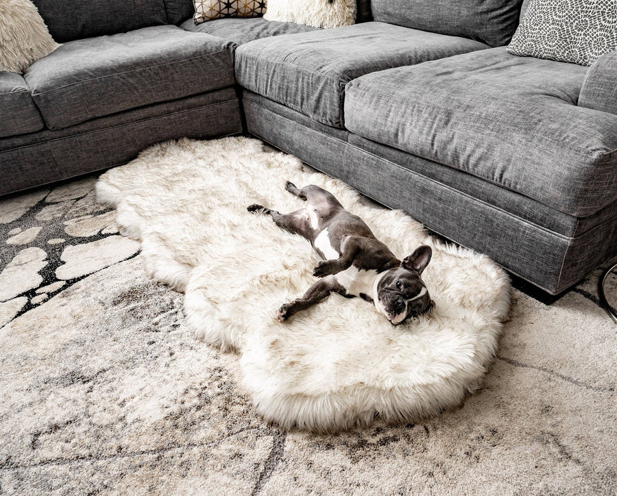 PupRug™ Runner Faux Fur Memory Foam Dog Bed - Curve White with Brown Accents Paw.com