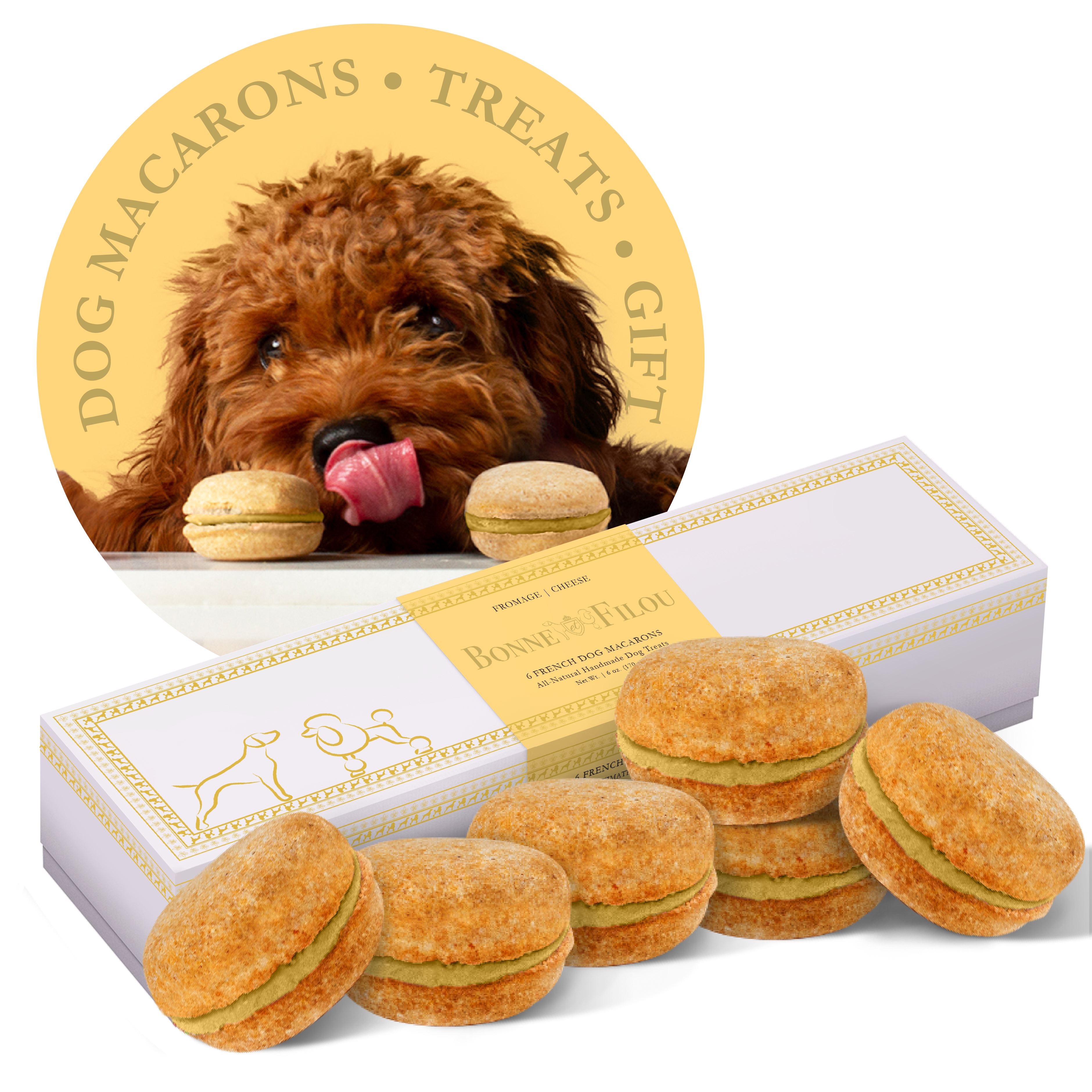 Dog Macarons (Box of 6) Cheese