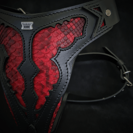 The ''Red Dragon'' harness