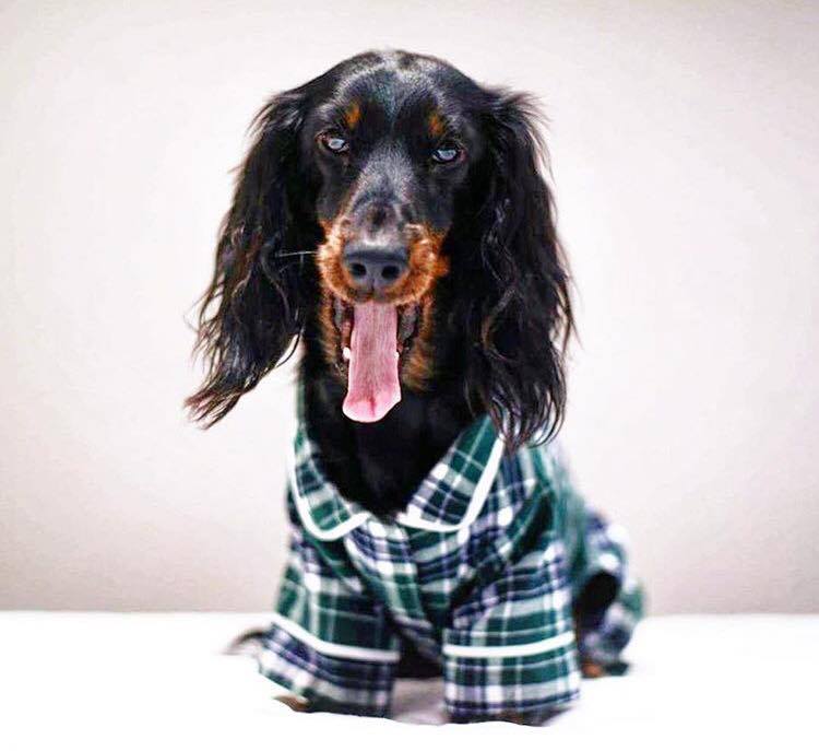 Green Flannel Pajamas