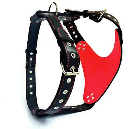 The "Steel" harness