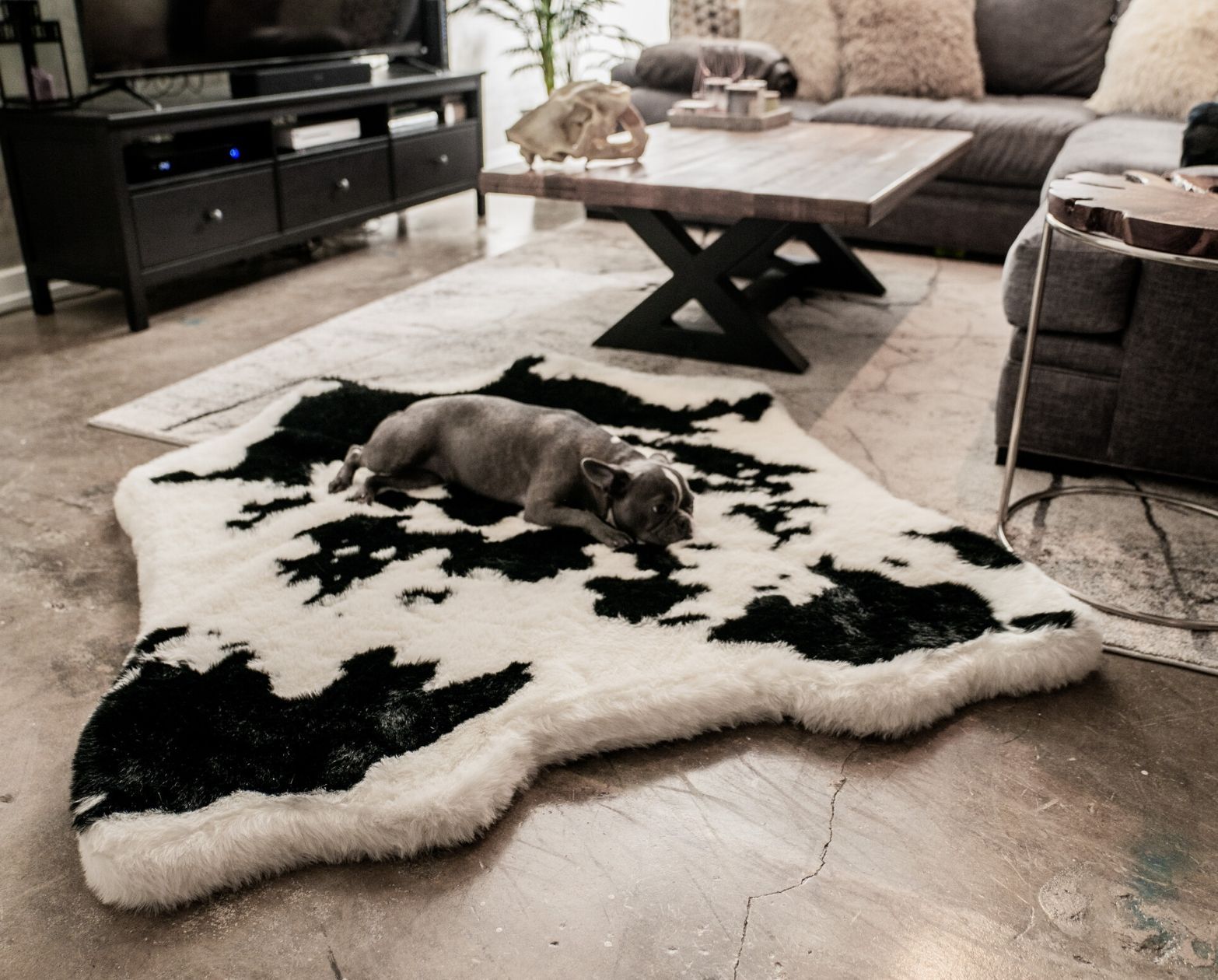 PupRugAnimal Print Memory Foam Dog Bed - Black Faux Cowhide Original (55