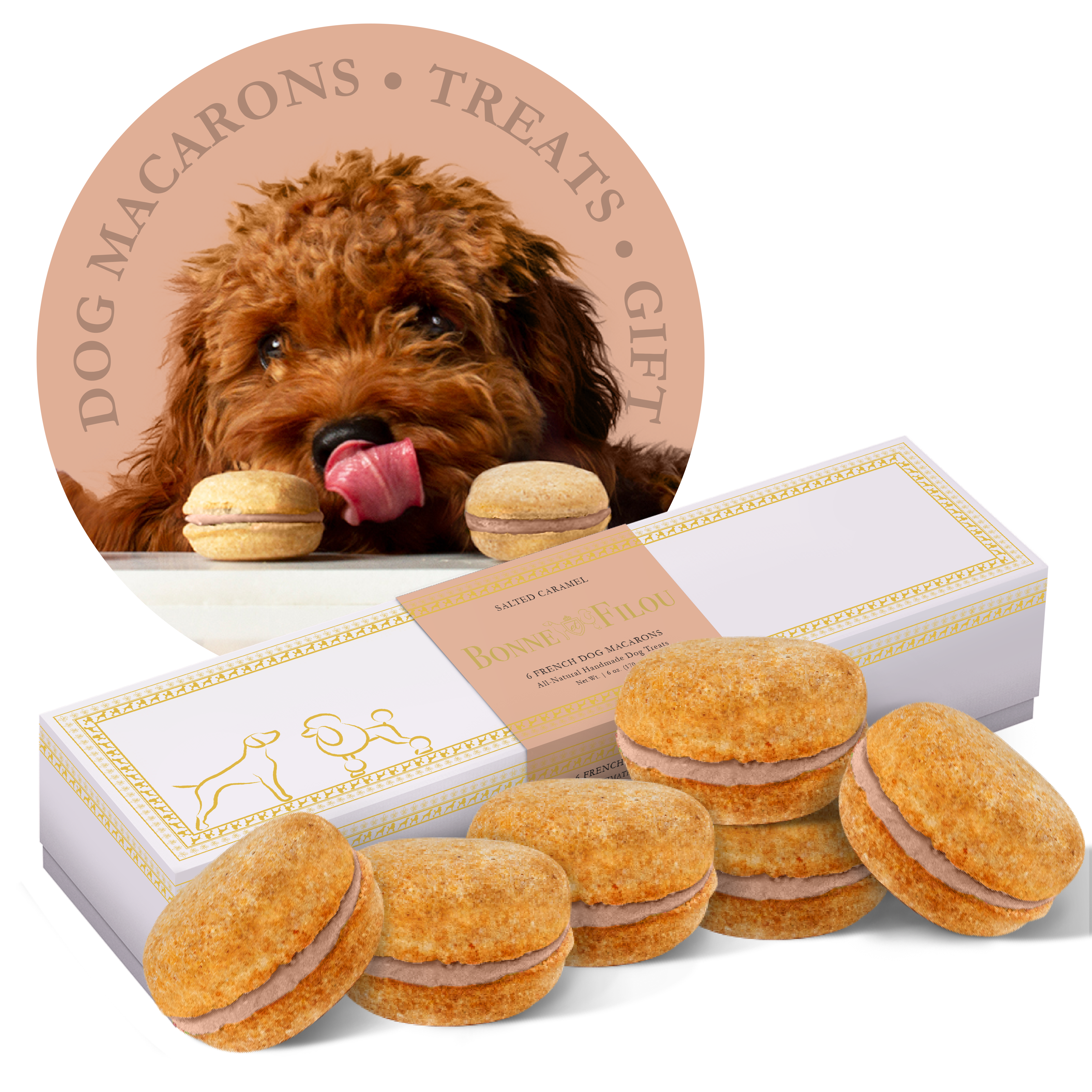 Dog Macarons (Box of 6)