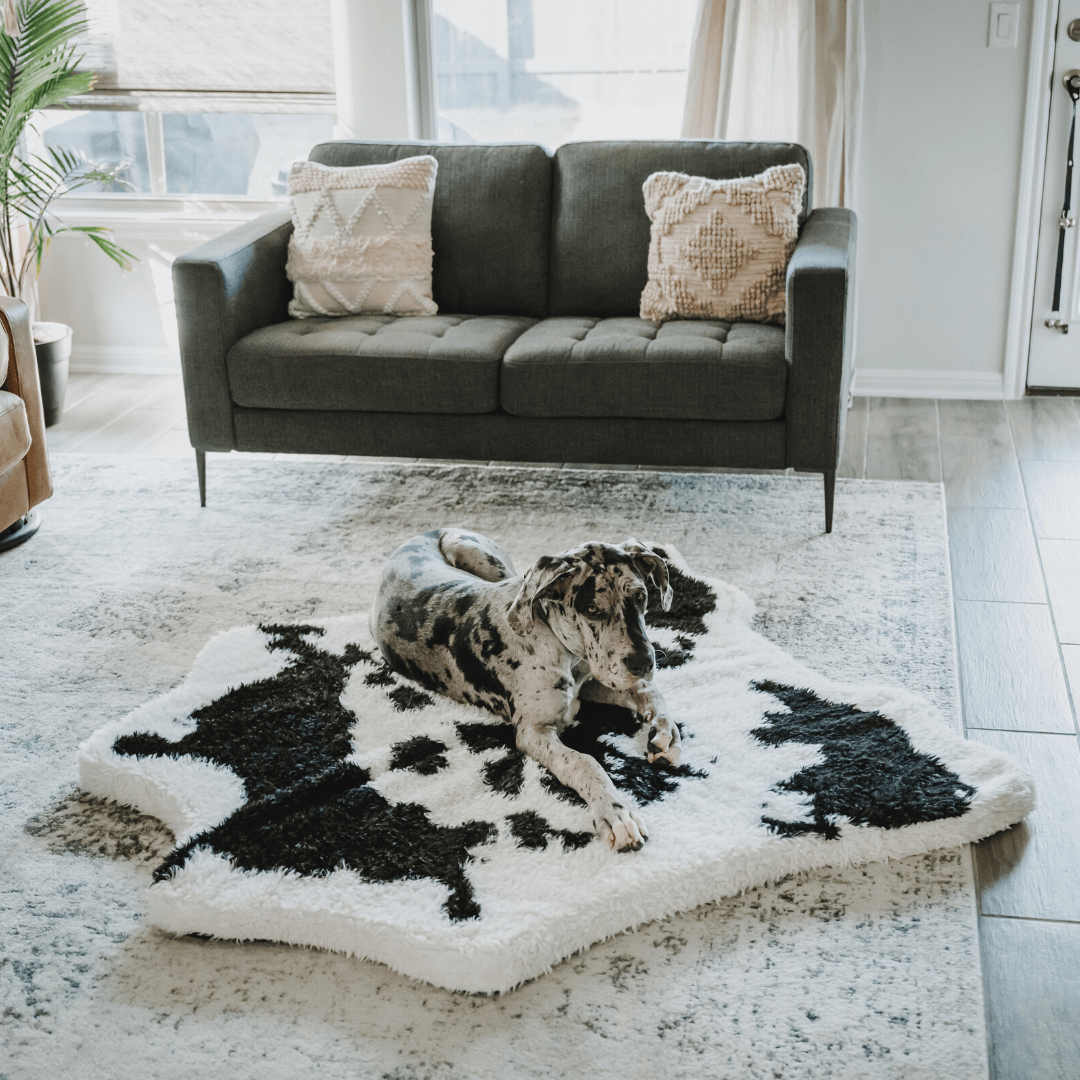 PupRugAnimal Print Memory Foam Dog Bed - Black Faux Cowhide