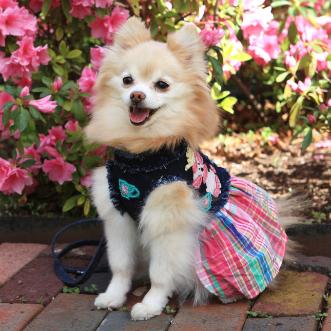 The London Tea Party Denim Harness Vest