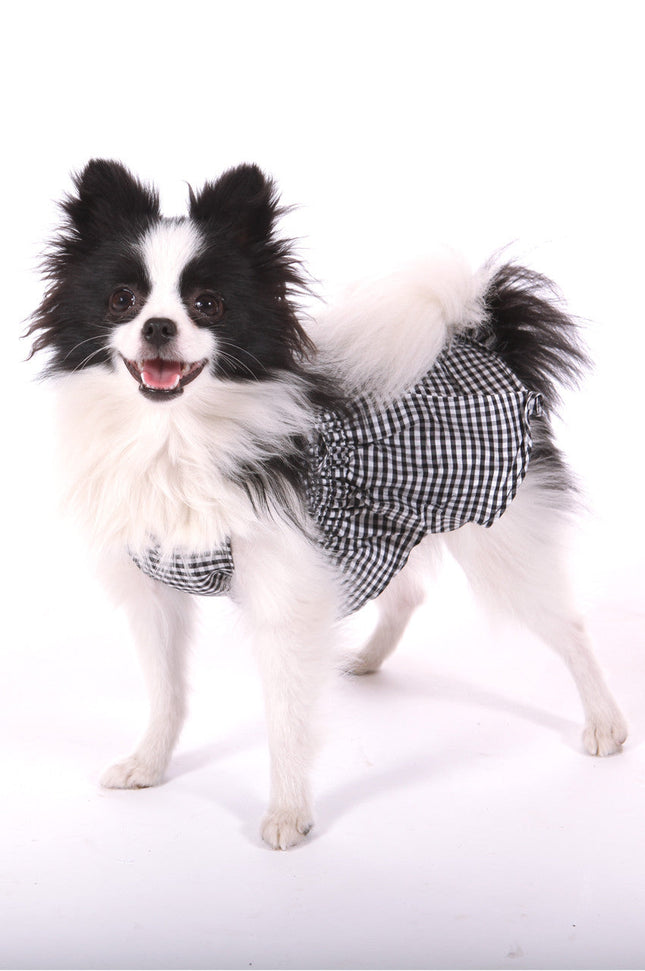 The Sophia Black & White Checked Silk Dog Dress