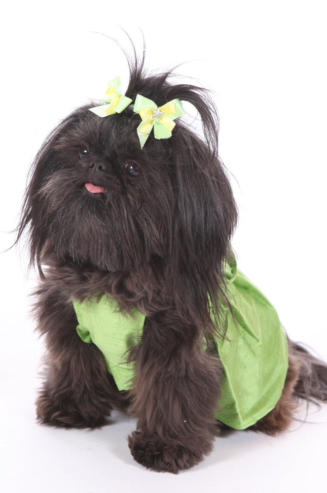 The Bailey Green Silk Dog Dress