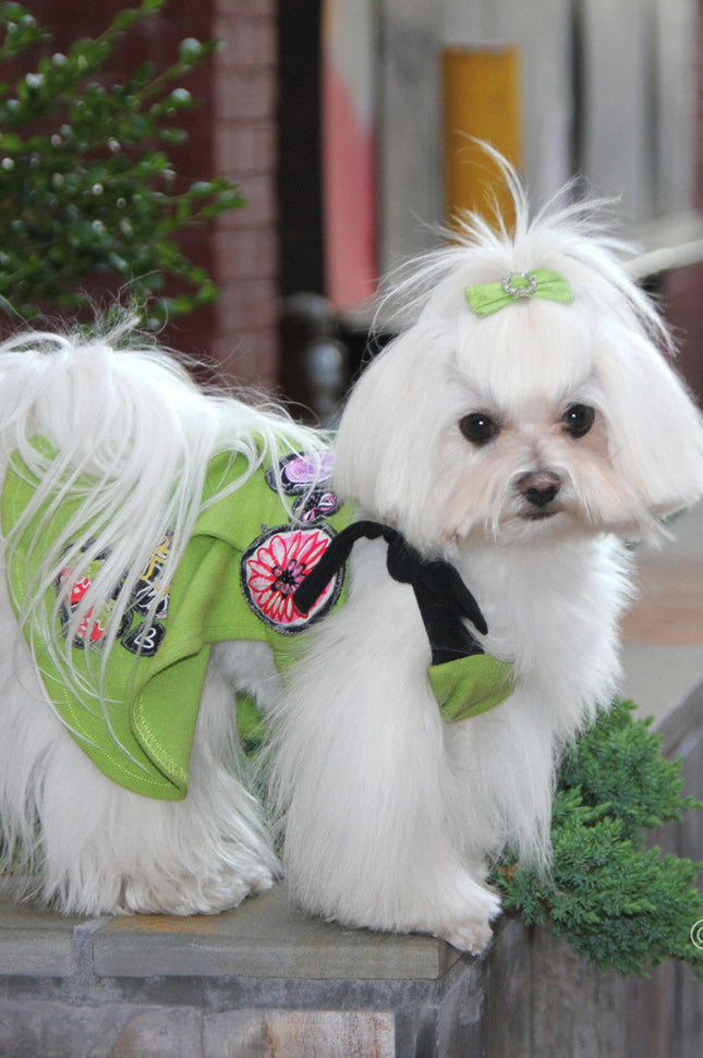 The Chloe Hand Beaded Dog Dress