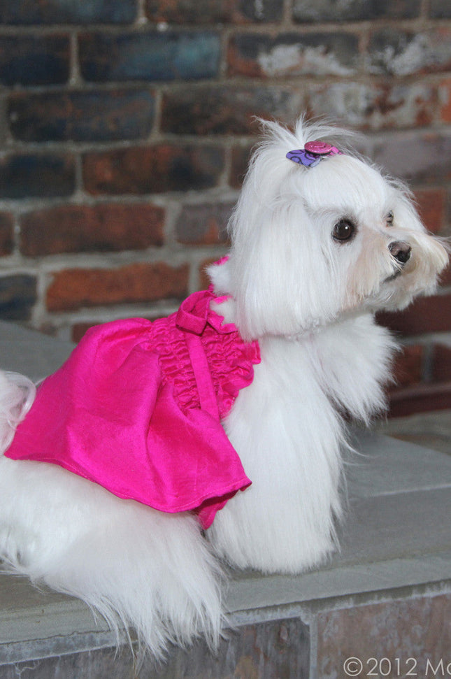 The Tiffany Hot Pink Silk Dog Dress