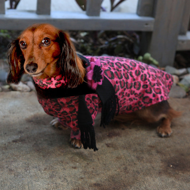 The Ava Pink Leopard Dog Sweater Dress