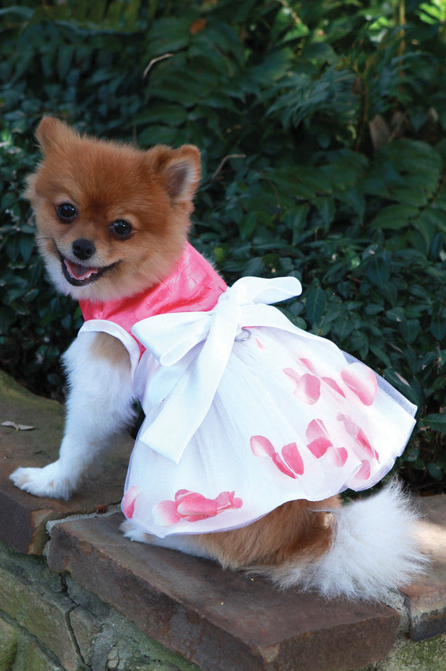 The Flora Flower Petal Dog Dress