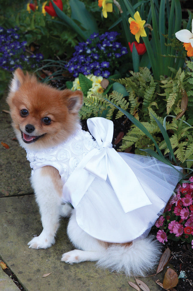 The Bianca Rose Ribbon Dog Dress