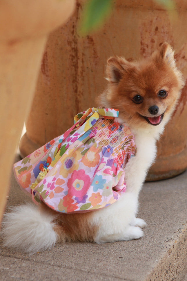 The Hannah Floral Dog Dress