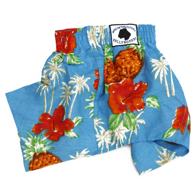 The Lahaina Collection - Belly Boxers for Dogs