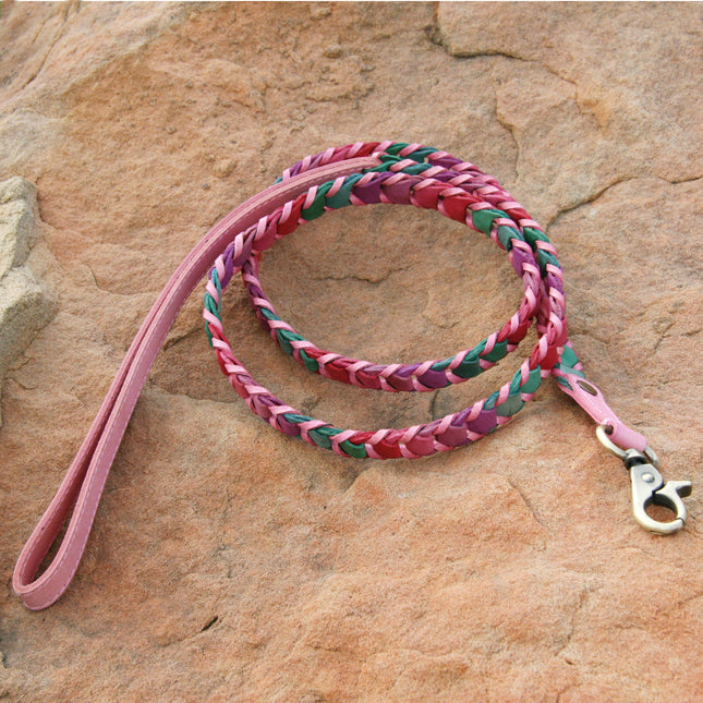 1" Multicolor Leather Leash