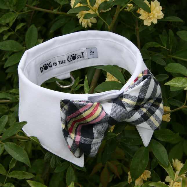 White Shirt Dog Collar with Dark Navy & White Madras Plaid Bow Tie