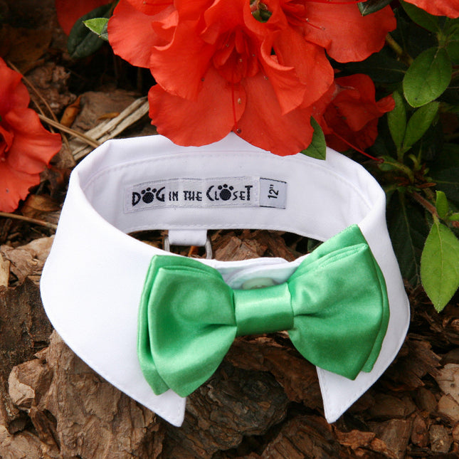 White Shirt Dog Collar with Kelly Green Bow Tie