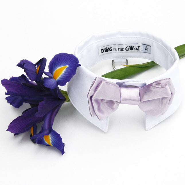 White Shirt Dog Collar with Lilac Bow Tie