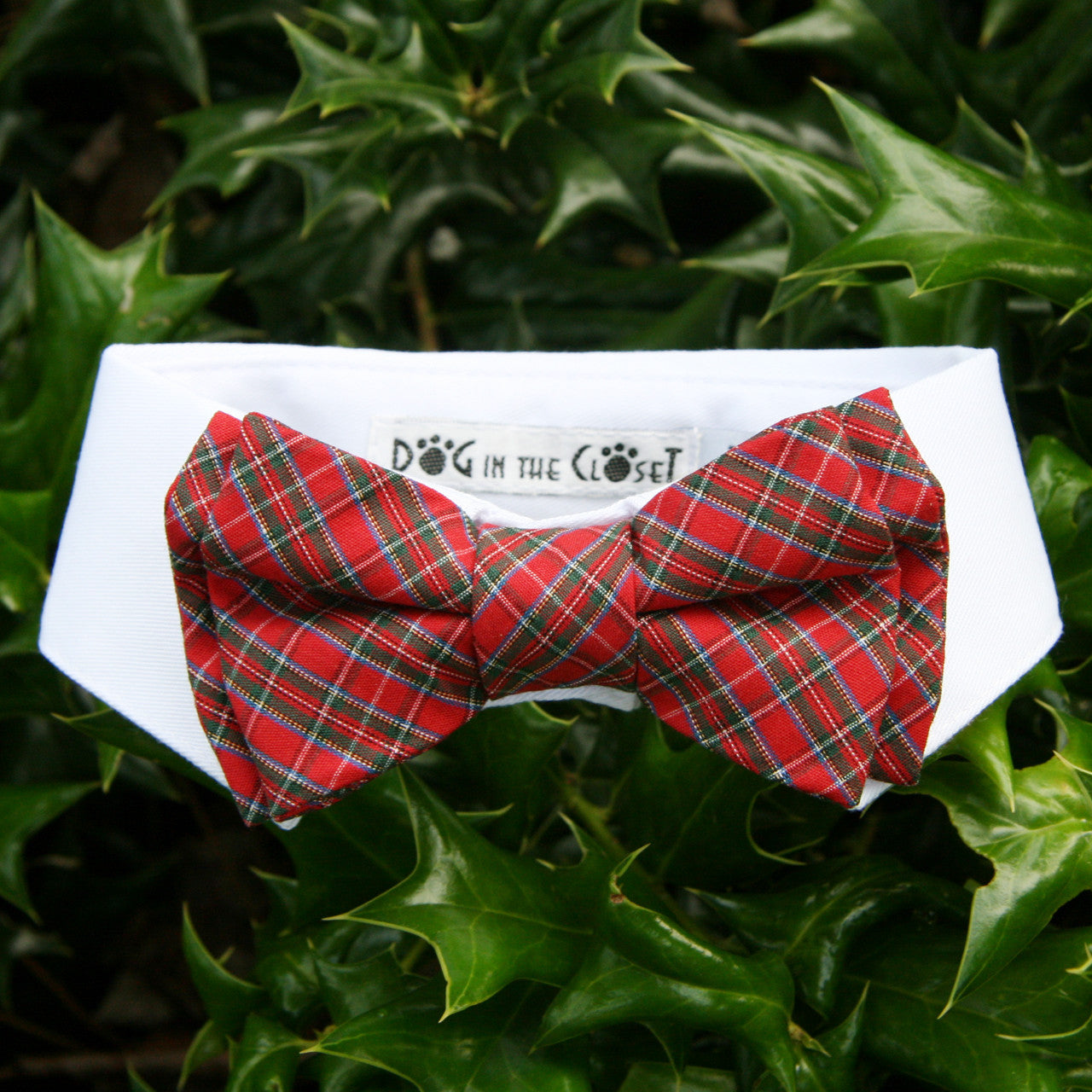 White Shirt Dog Collar with Red Tartan Plaid Bow Tie 24