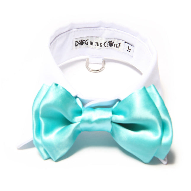 White Shirt Dog Collar with Aqua Blue Bow Tie