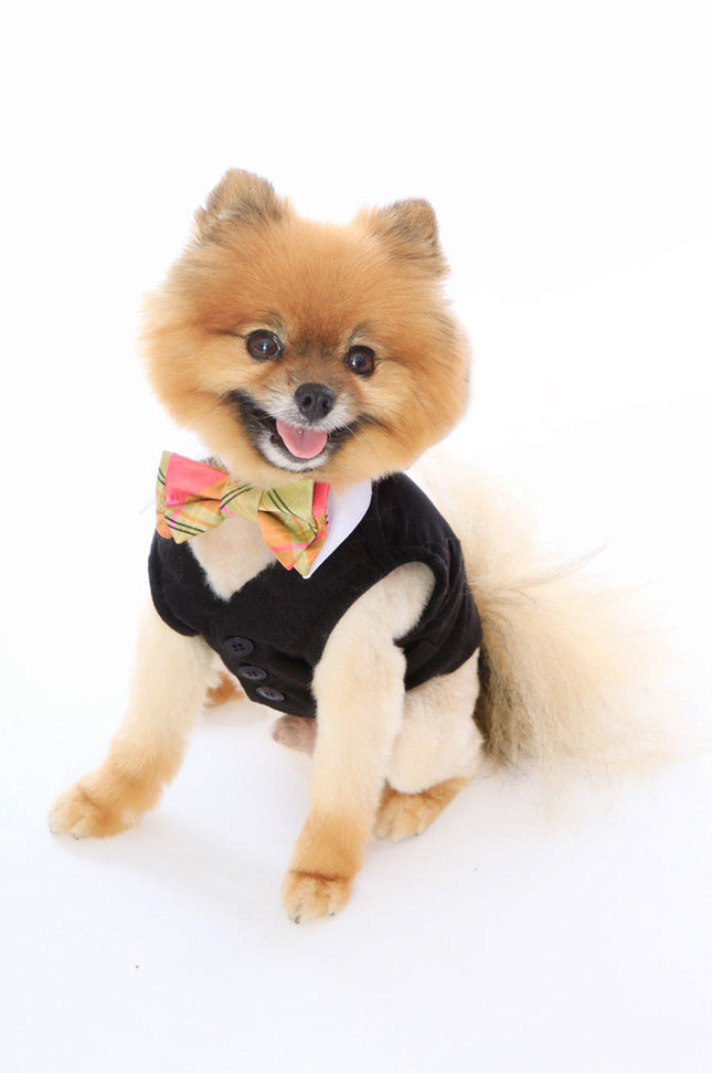 White Shirt Dog Collar with Coral & Lime Silk Plaid Bow Tie