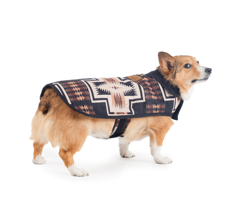 harding dog coat