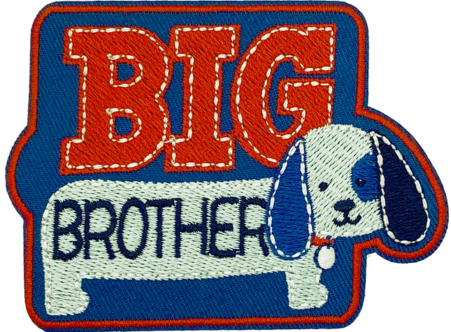 Big Brother - Patch