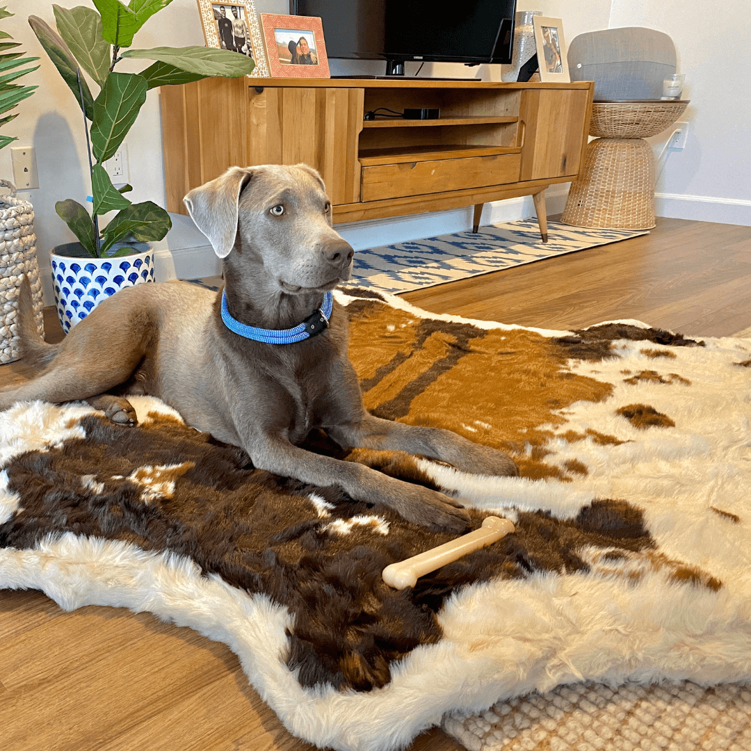 PupRug Animal Print Memory Foam Dog Bed - Brown Faux Cowhide