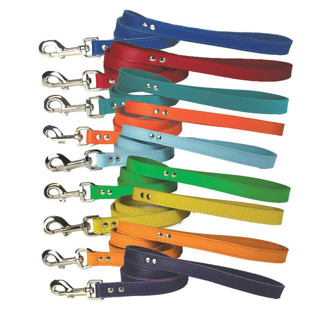 Signature Leather Leads