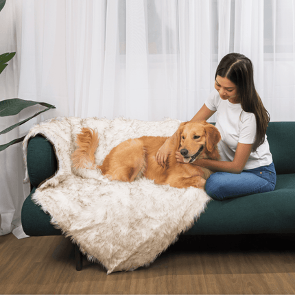 PupCloud™ Human-Size Dog Bed + Matching Waterproof Blanket Bundle - White with Brown Accents