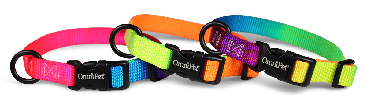 Rainbow Nylon Kwik-Klip Adjustable Collar Option