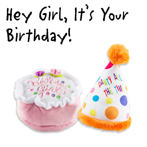 Bundle #5 - Birthday Girl by Haute Diggity Dog