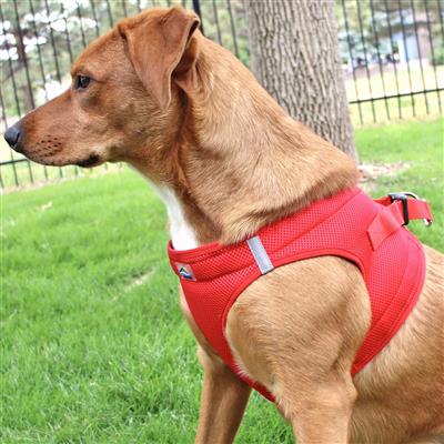 American River Ultra Choke Free Soft Mesh Dog Harness-Red