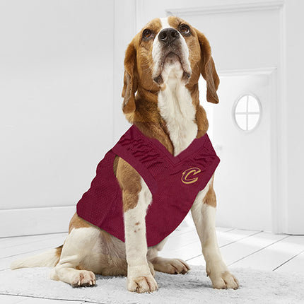 Cleveland Cavaliers Mesh Basketball Jersey by Pets First