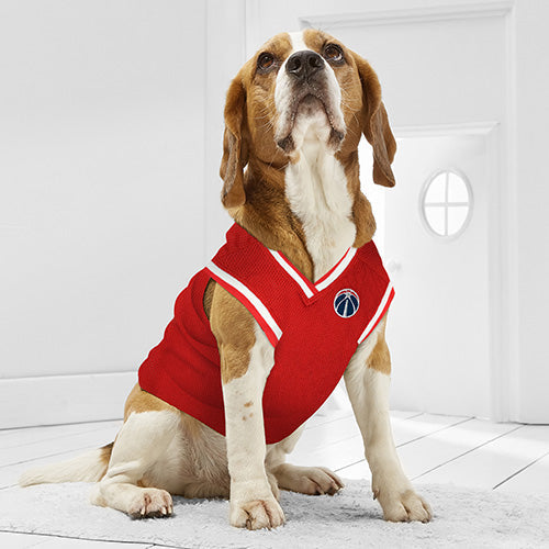 Washington Wizards Mesh Basketball Jersey by Pets First