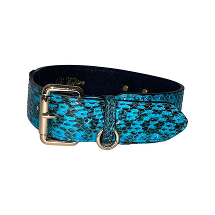 Turquoise & Black Classic Snake Collar With Gold Hardware