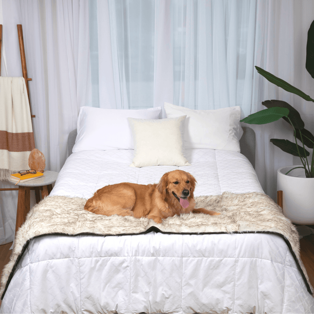 PupProtector™ Waterproof Bed Runner - White with Brown Accents