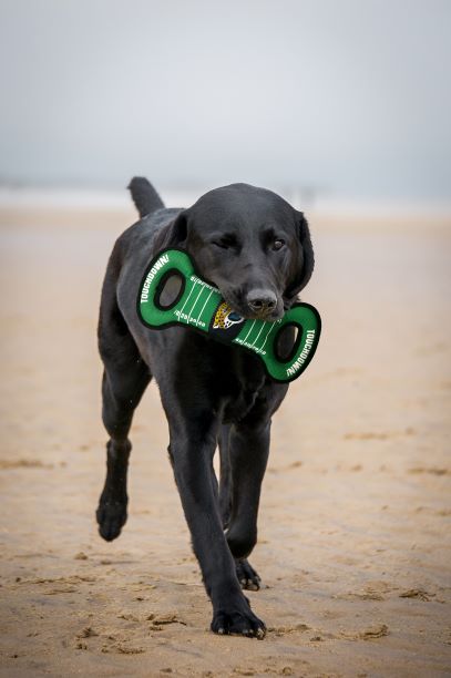 Jacksonville Jaguars Field Tug Toy by Pets First