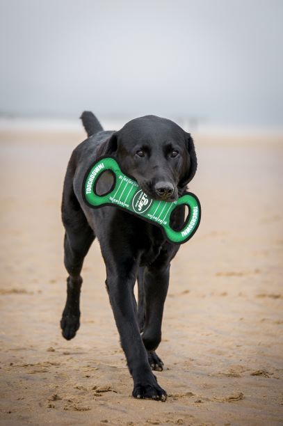 New York Jets Field Tug Toy by Pets First