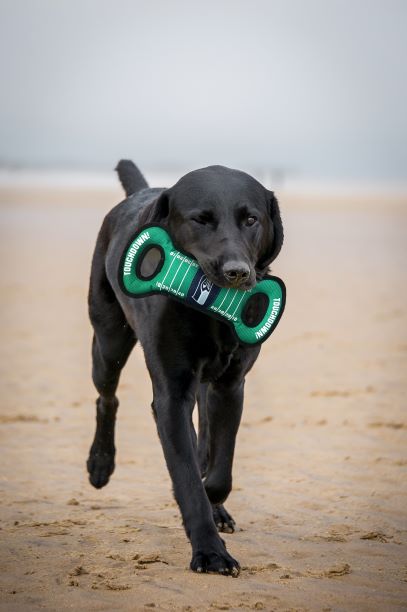 Seattle Seahawks Field Tug Toy by Pets First