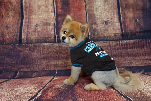 Carolina Panthers Dog Tee Shirt by Pets First