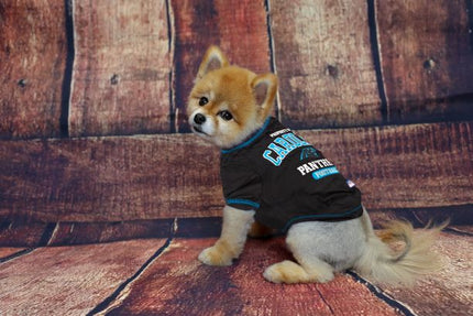 Carolina Panthers Dog Tee Shirt by Pets First