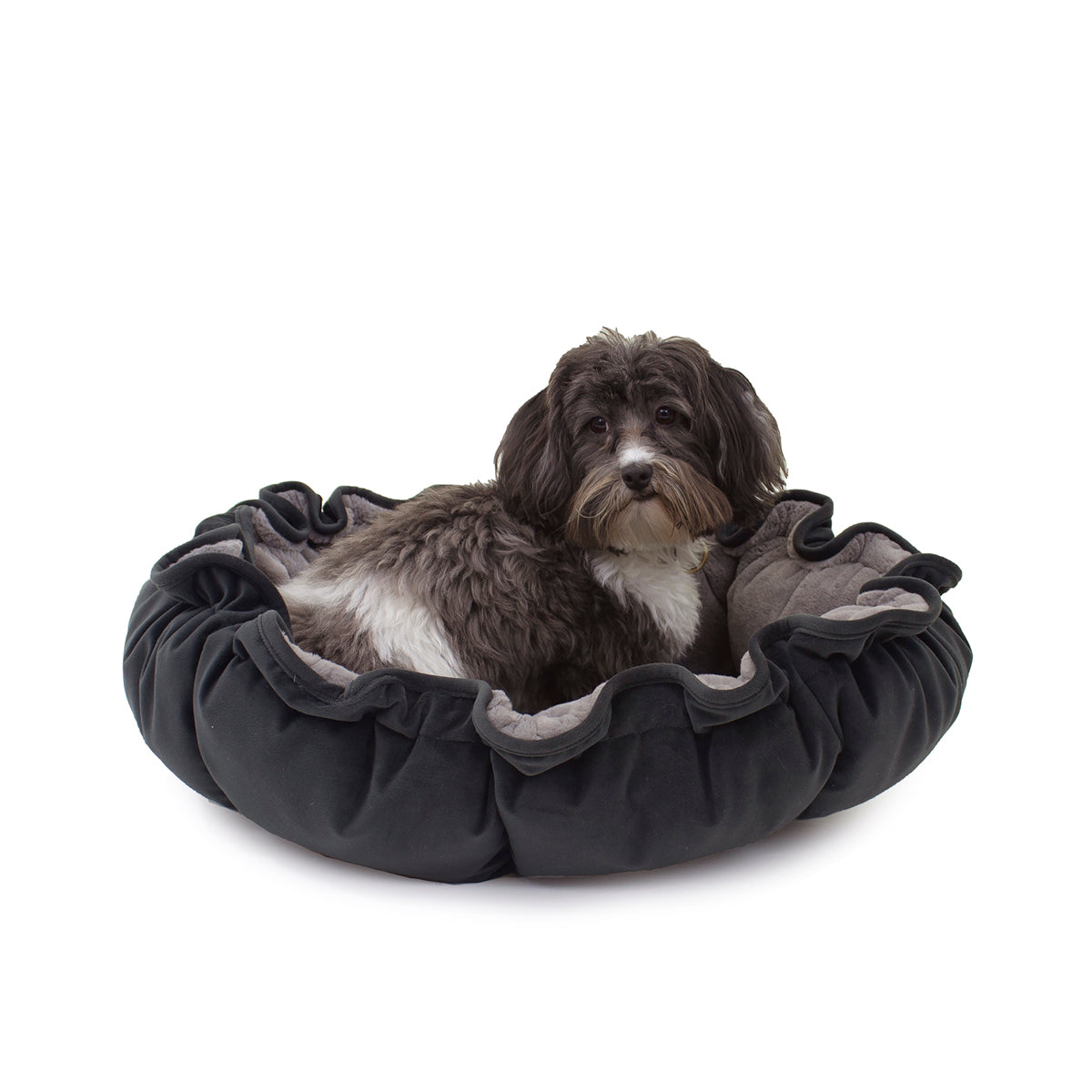 lily pad bed Charcoal