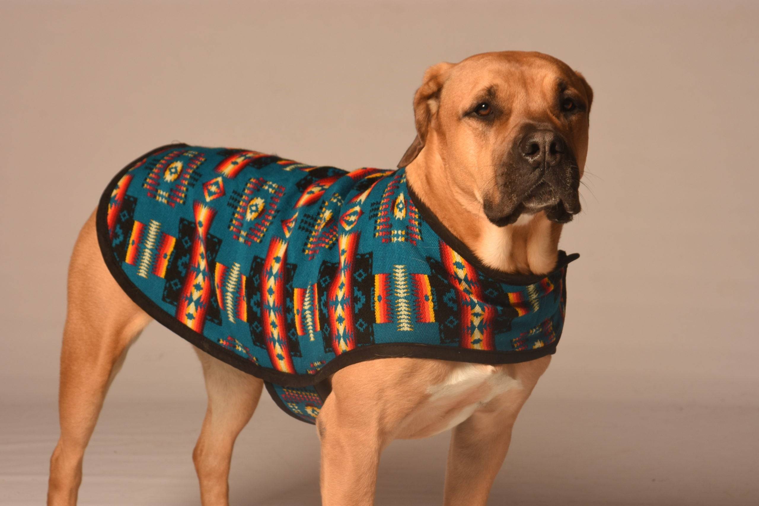 Turquoise Southwest Blanket Coat