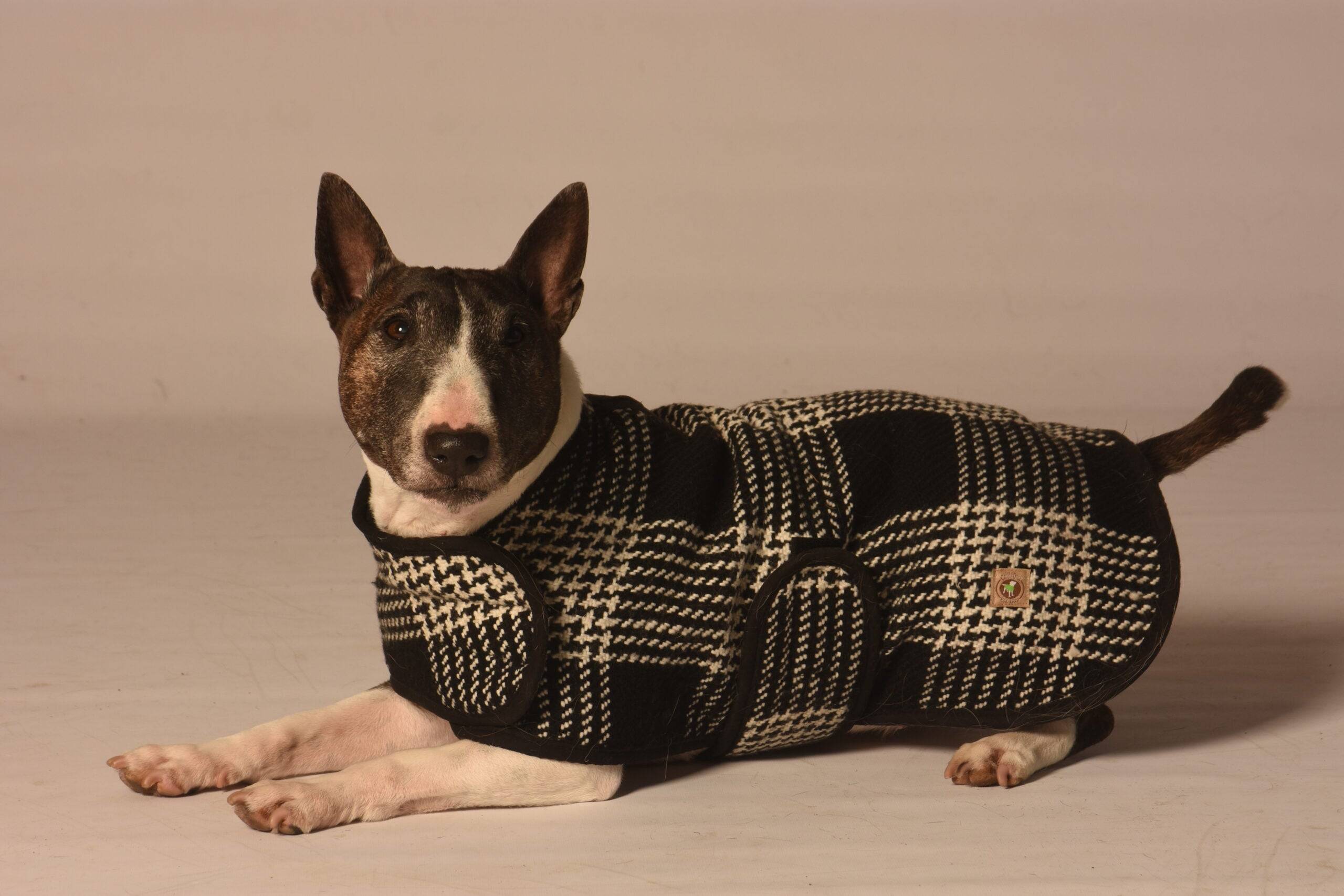 Black / White Plaid Blanket Coat